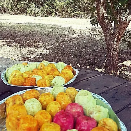 Il Casale Dei Principi Bed and Breakfast