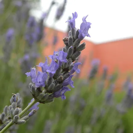 Il Casale Dei Principi Frühstückspension Lecce