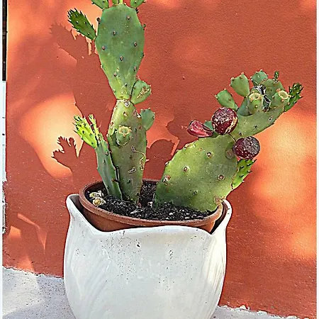 Il Casale Dei Principi 4* レッチェ