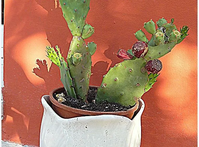 Il Casale Dei Principi 4* 레체