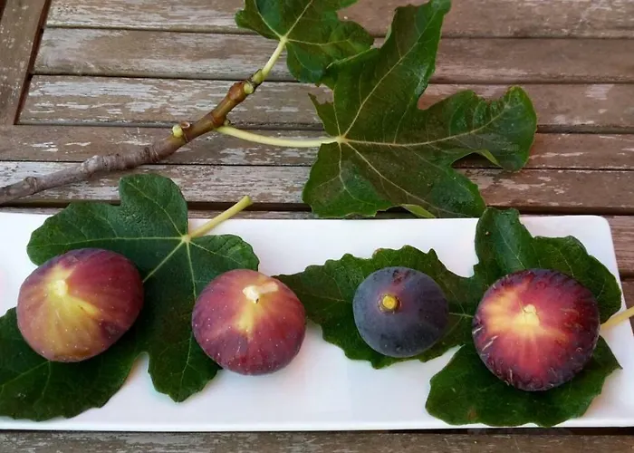 Il Casale Dei Principi B&B 레체